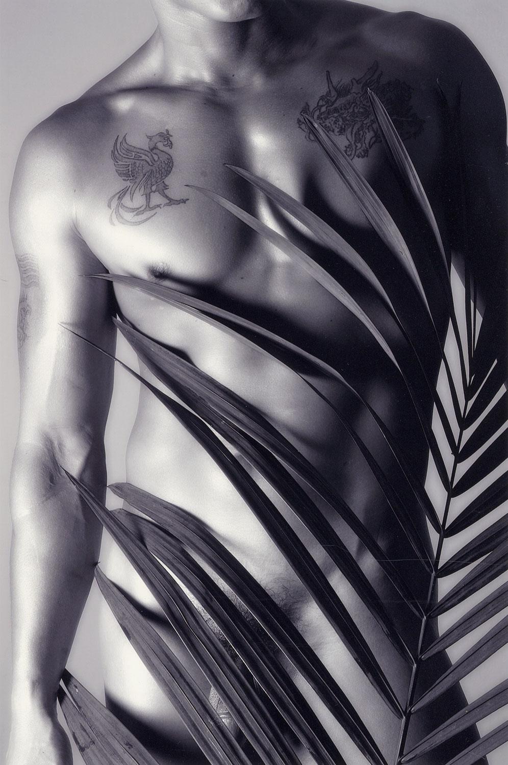 Dylan Ricci Nude Photograph - Male Nude 23 (full frontal nude tattooed male and fern creating pattern on body)