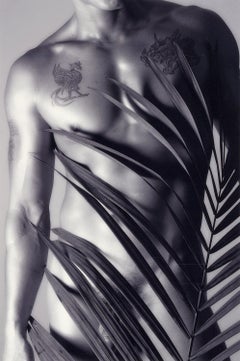 Male Nude 23 (full frontal nude tattooed male and fern creating pattern on body)