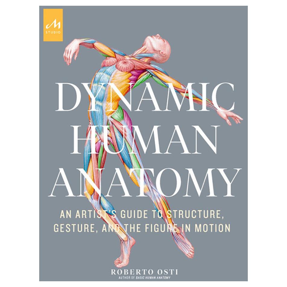 Dynamische menschliche Anatomie