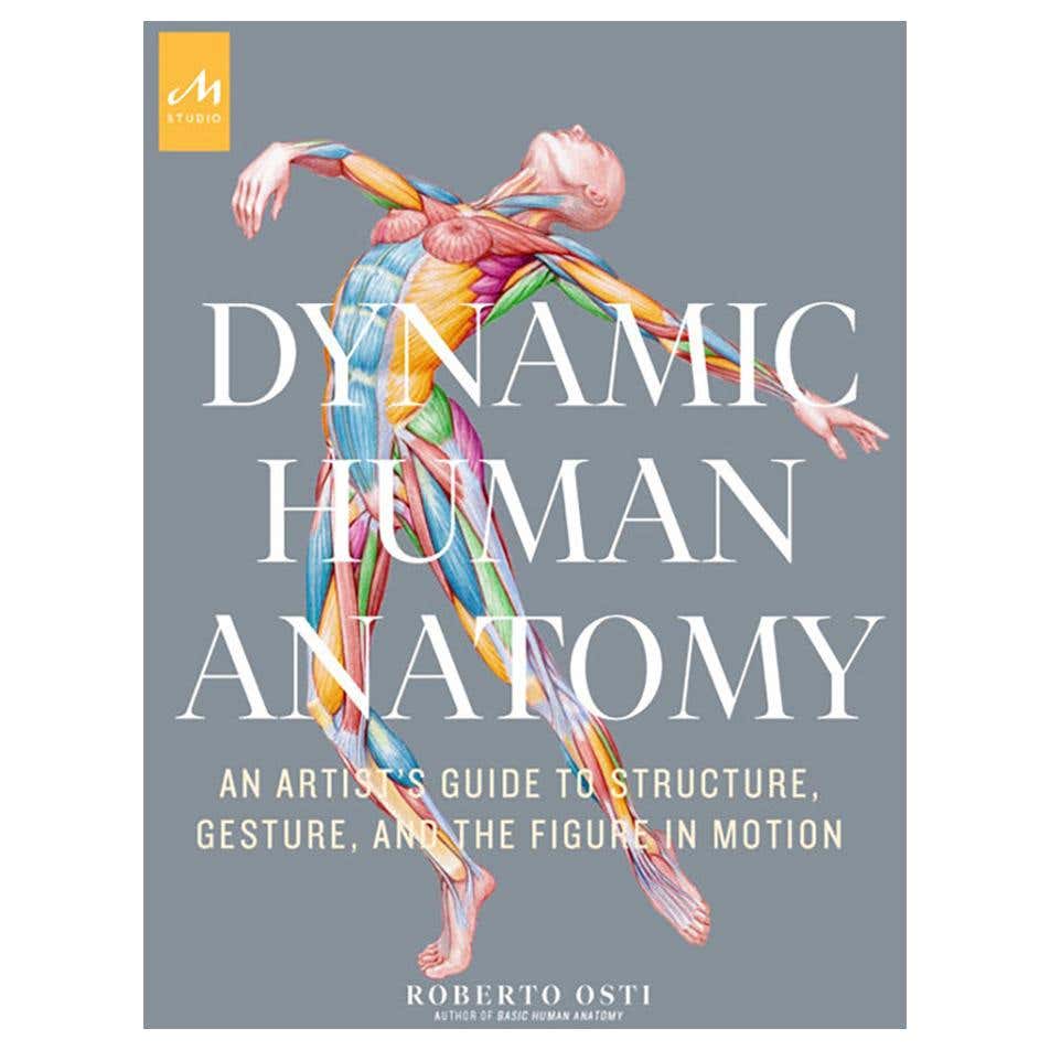 Dynamic Human Anatomy For Sale At 1stdibs
