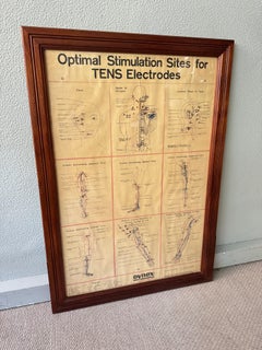 Dynex Medical Anatomical Chart Framed TENS Diagram Wall Art USA 1980