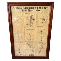 Dynex Medical Anatomical Chart Framed TENS Diagram Wall Art USA 1980