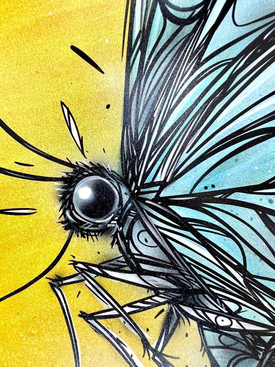 Butterfly For Sale 1