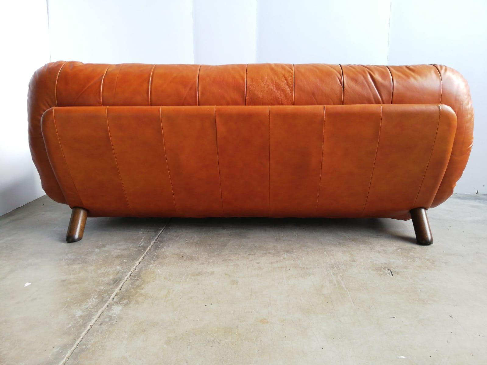E. Cobianchi Italian Leather Sofà by Insa, 1970s 5