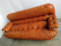 E. Cobianchi Italian Leather Sofà by Insa, 1970s