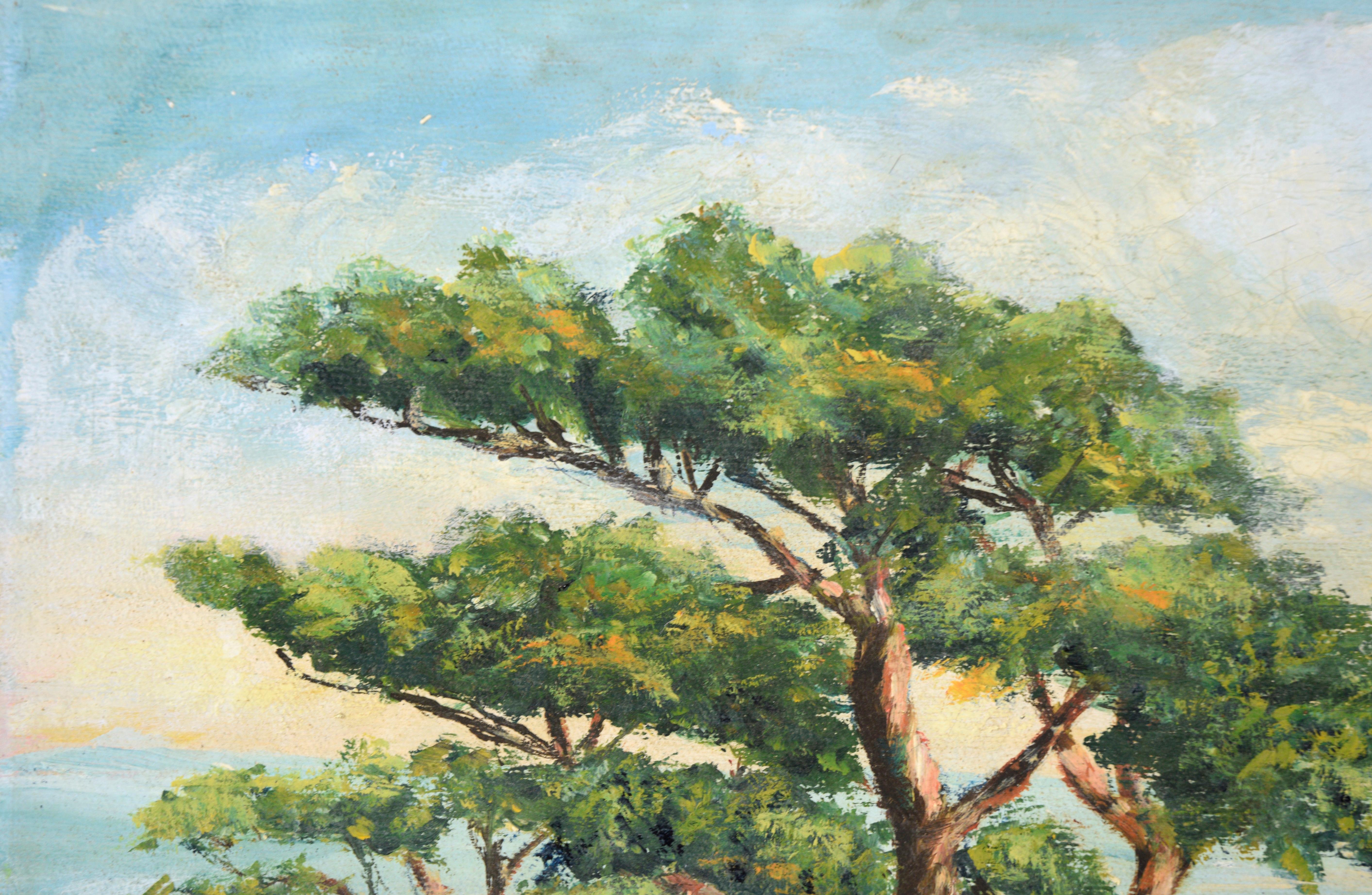 Monterey Cypress - Carmel by the Sea California Seascape in Oil on Canvas - Painting by E Holton