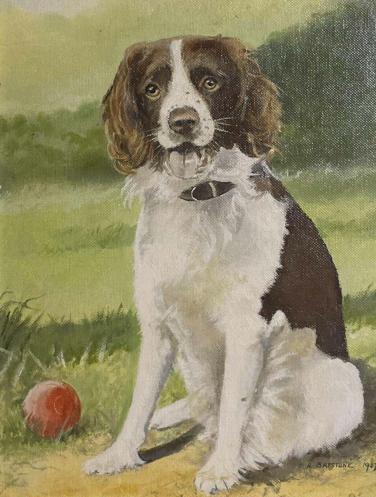English Dog Oil Painting - Portrait of a Spaniel Dog near ball in a landscape