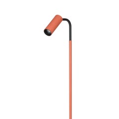 E-Reader Orange Floor Lamp