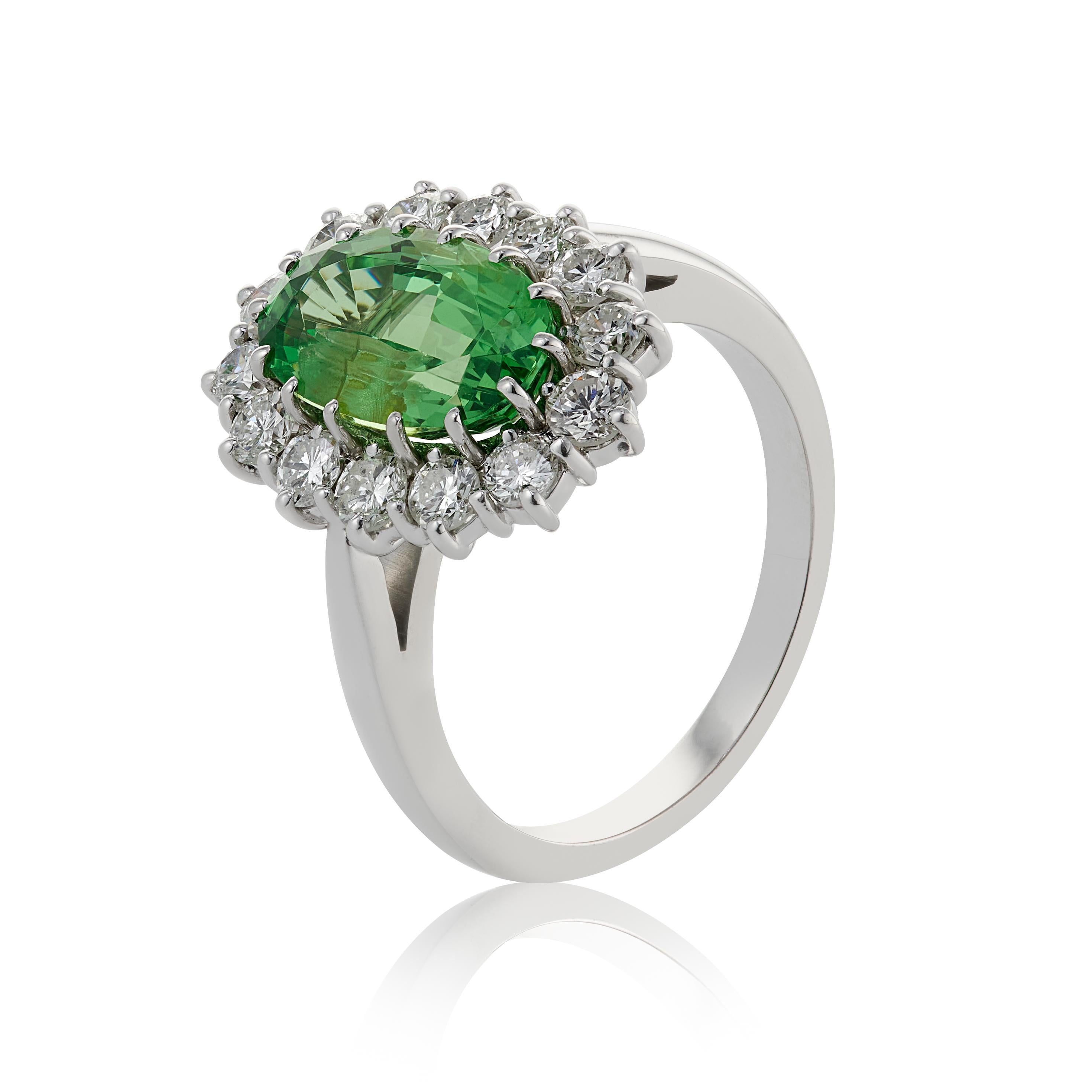 Contemporary E Wolfe& Co 3.08 Carat Tsavorite Garnet and Diamond 18ct White Gold Cluster Ring For Sale
