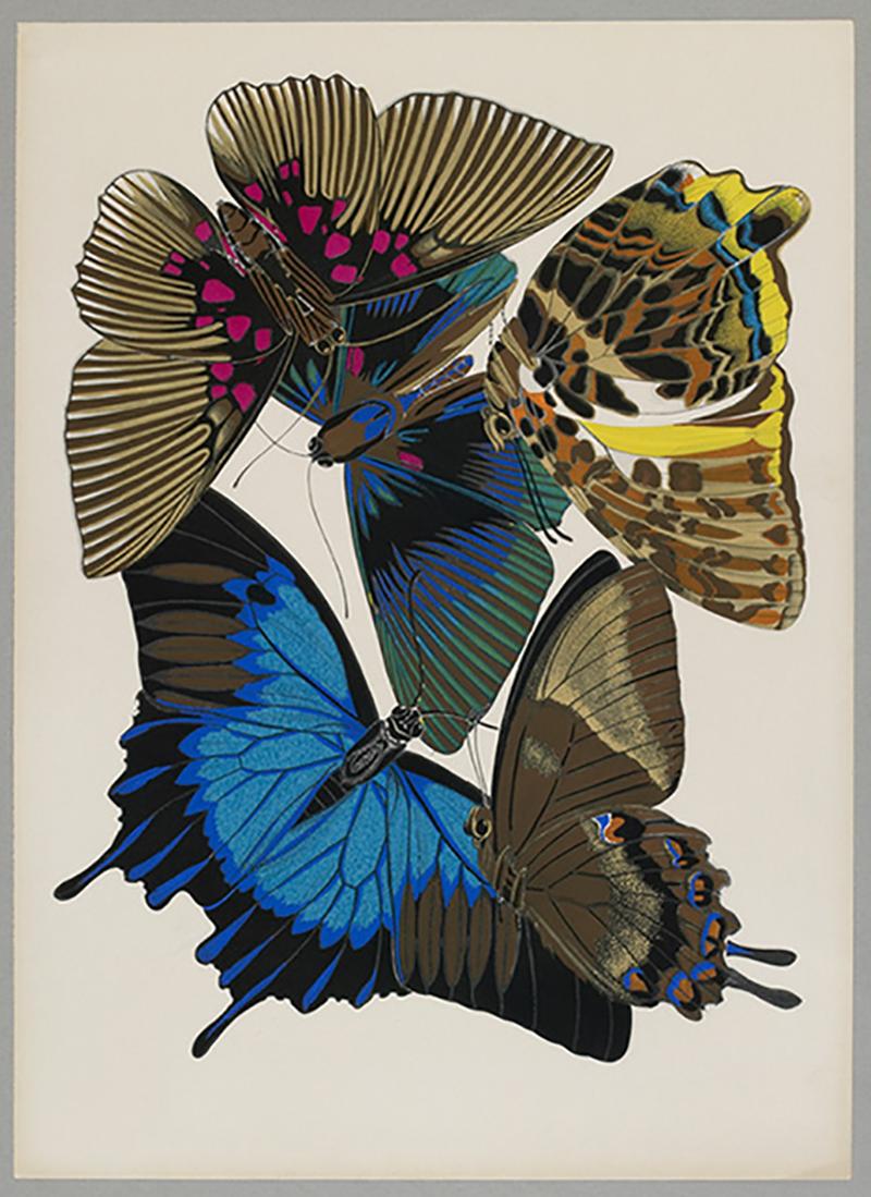 E.A. Seguy Color Photograph - Butterfly Pochoir Prints - 1