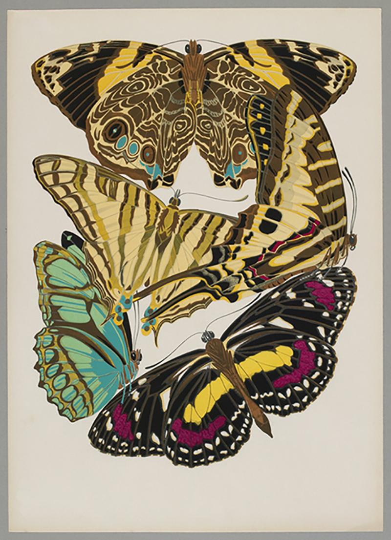 E.A. Seguy Color Photograph - Butterfly Pochoir Prints - 12