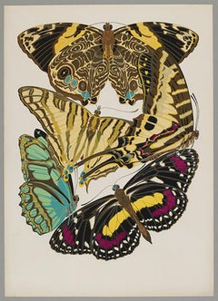 Butterfly Pochoir Prints - 12