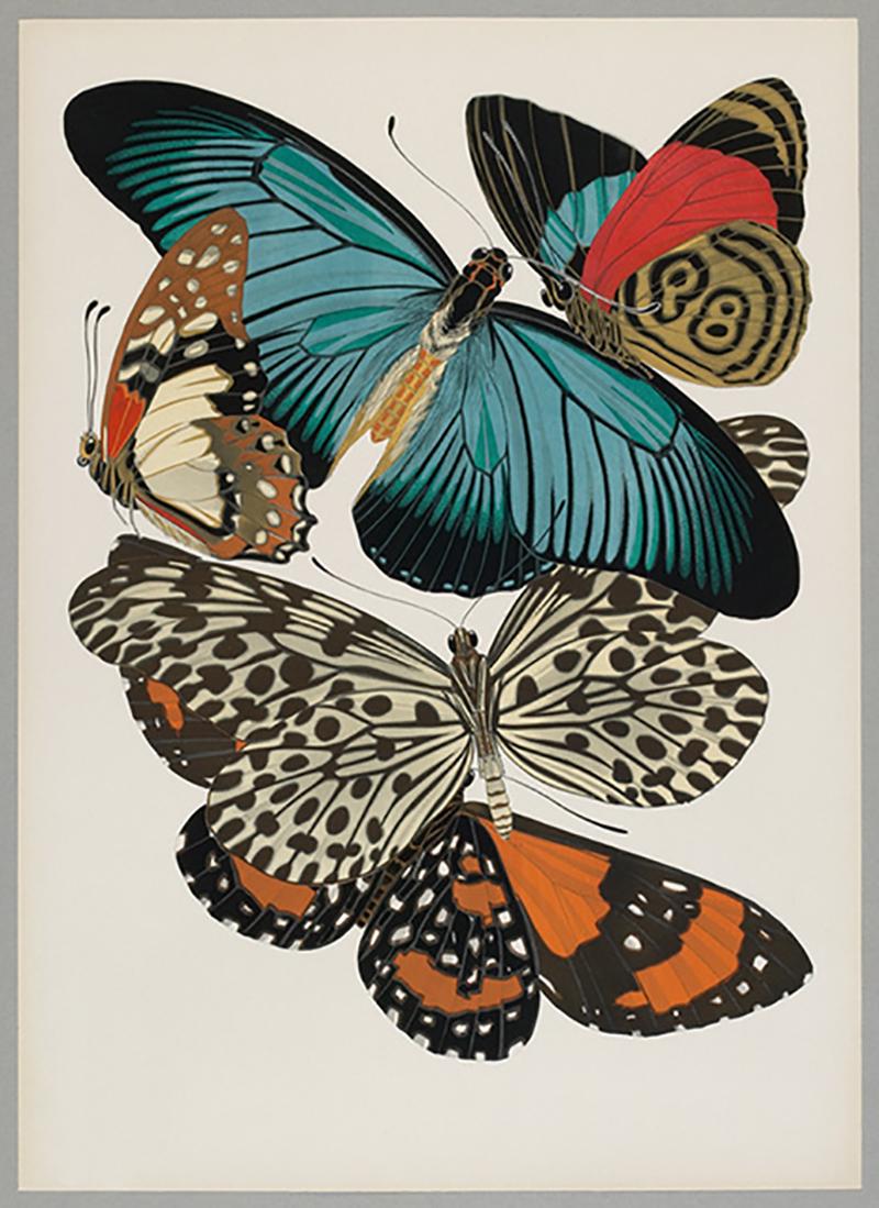 E.A. Seguy Animal Print - Butterfly Pochoir Prints - 2