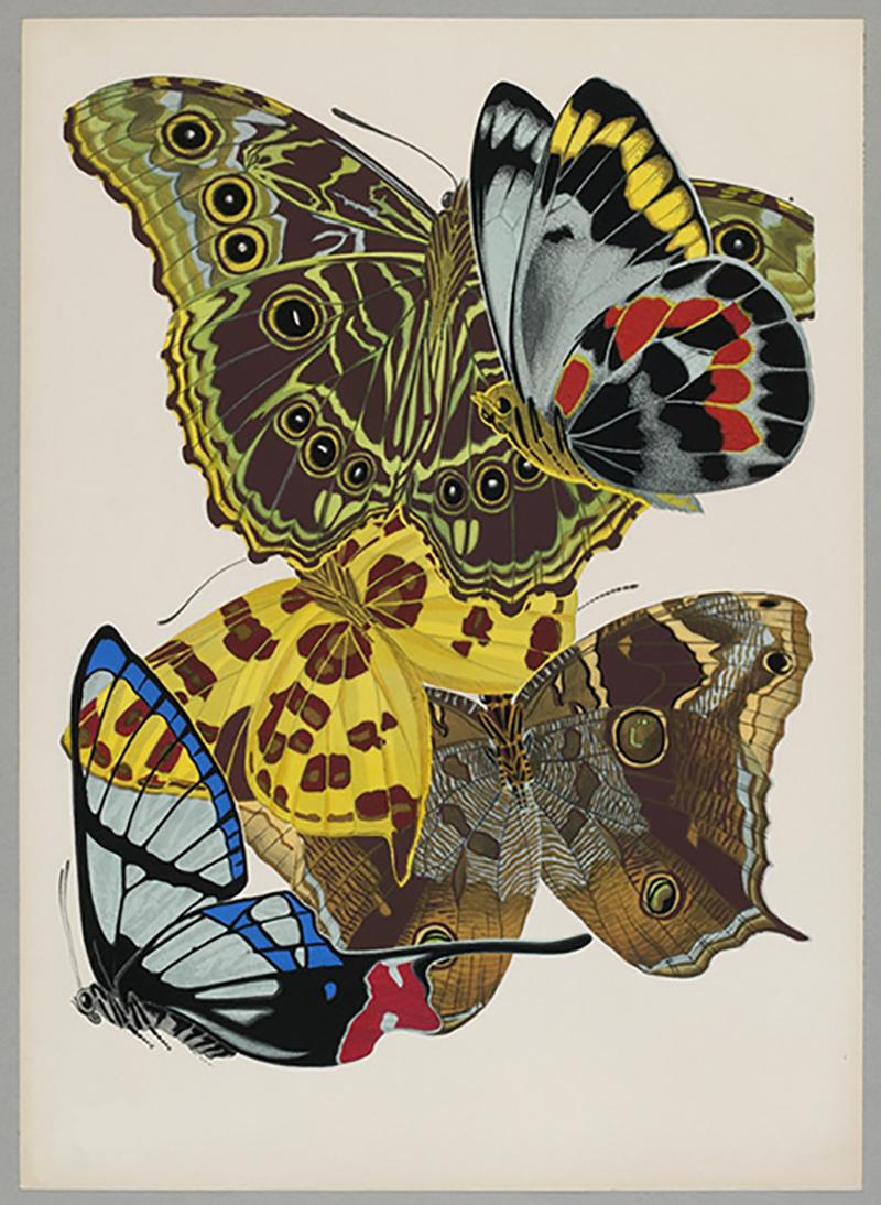 E.A. Seguy Color Photograph - Butterfly Pochoir Prints - 4