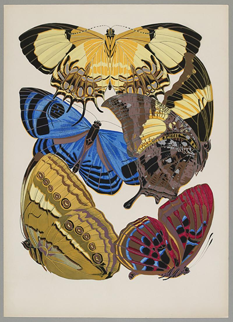 E.A. Seguy Color Photograph - Butterfly Pochoir Prints - 1, 3, 5, 6, 7, 9, 11