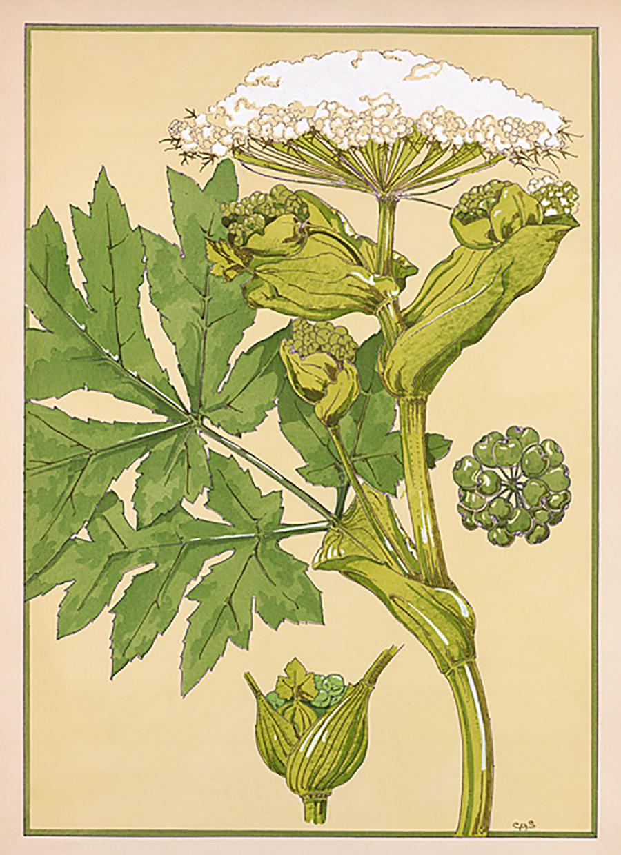 E.A. Seguy Still-Life Print - Floral Pochoir Prints - 6