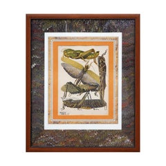 Twentieth-Century Earth-Toned Naturalistic Pochoir Print of Various Insects