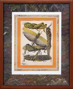 Twentieth-Century Earth-Toned Naturalistic Pochoir Print of Various Insects