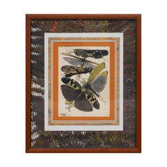 Twentieth-Century Earth-Toned Naturalistic Print of Various Insects