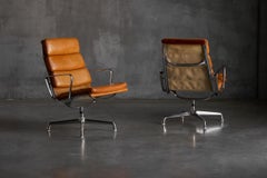 EA216 Soft Pad Chair by Charles and Ray Eames, USA, 1969