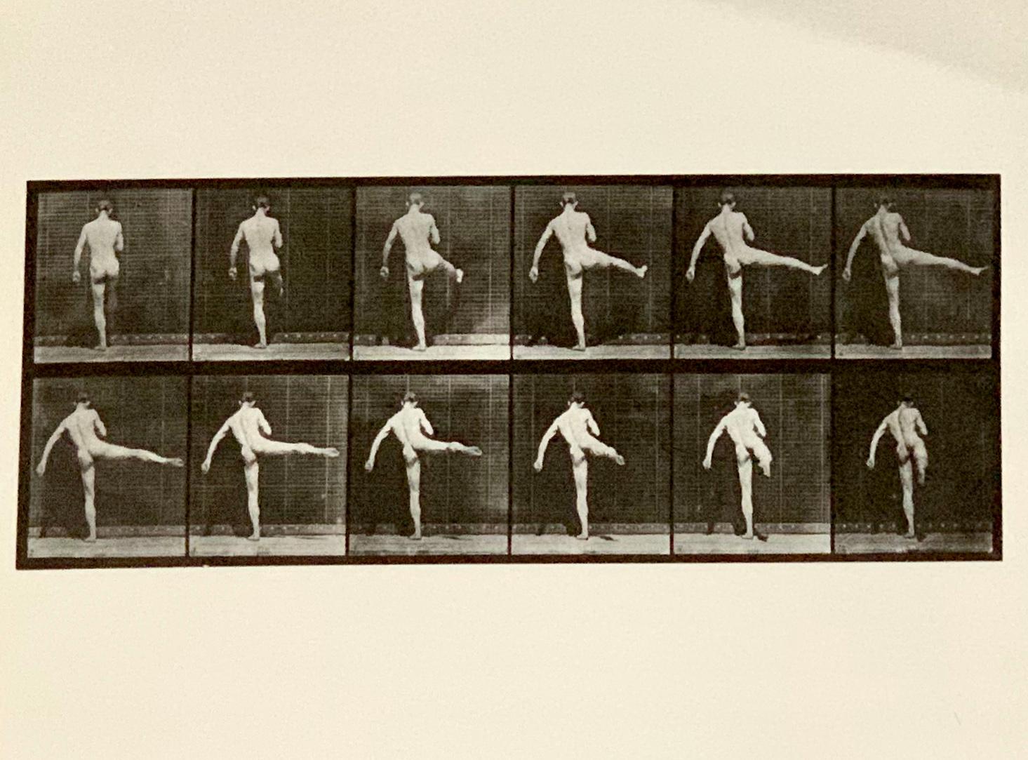 Eadward Muybridge is one of the most fascinating figures in the history of photography. Born in England, he moved to the US at the age of 20, becoming a successful bookseller in San Francisco in the decade that followed. En route to Europe for a