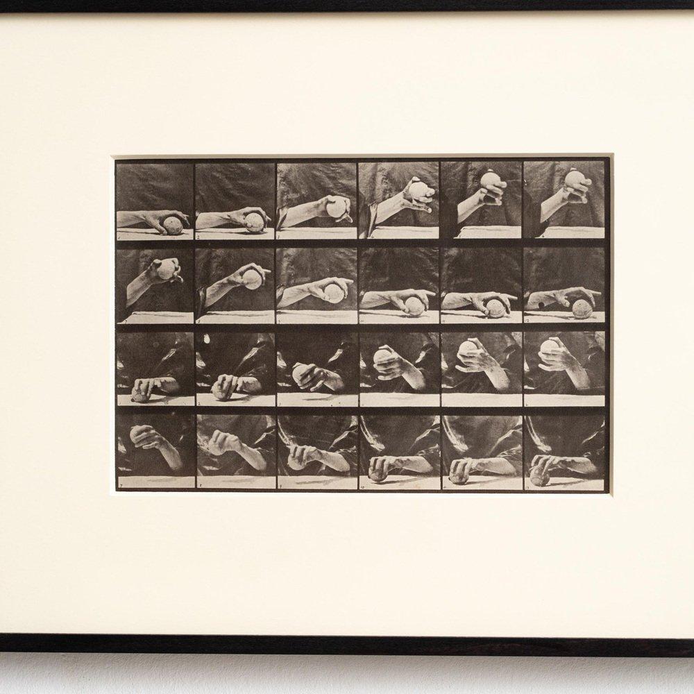 D'après Eadweard Muybridge Héliogravure noir et blanc Electa Editrice Portfolio en vente 10
