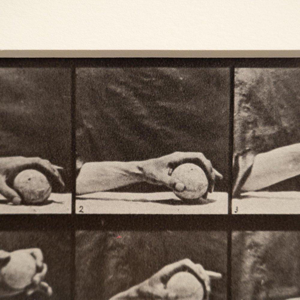 D'après Eadweard Muybridge Héliogravure noir et blanc Electa Editrice Portfolio en vente 5