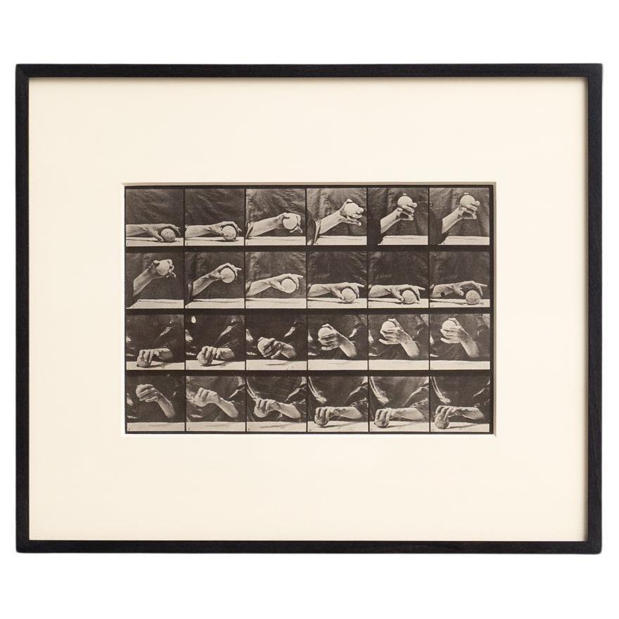 D'après Eadweard Muybridge Héliogravure noir et blanc Electa Editrice Portfolio en vente 1