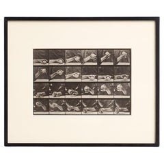 D'après Eadweard Muybridge Héliogravure noir et blanc Electa Editrice Portfolio
