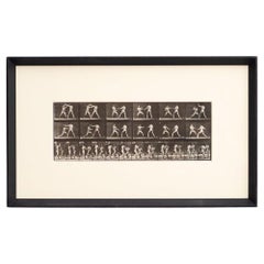 D'après Eadweard Muybridge Héliogravure noir et blanc Electa Editrice Portfolio