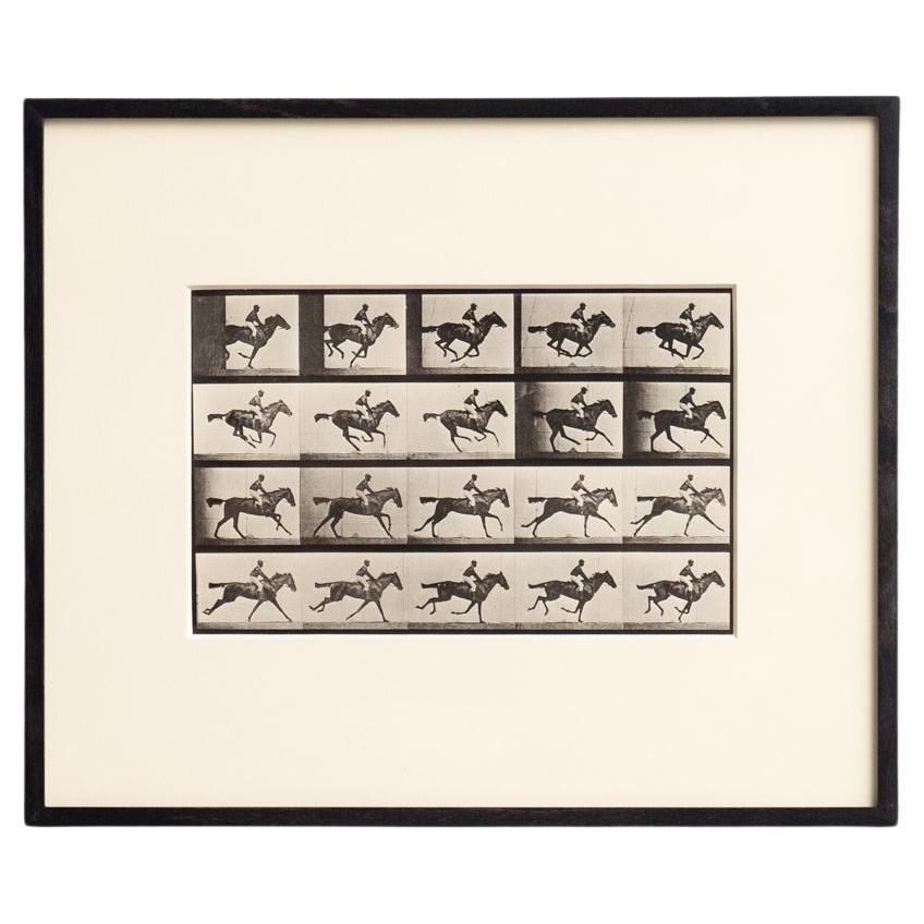 After Eadweard Muybridge Black And White Heliogravure Electa Editrice Portfolio