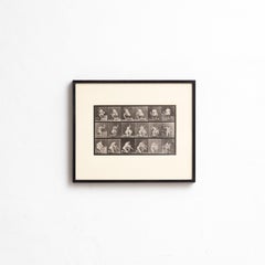 After Eadweard Muybridge Black And White Heliogravure Electa Editrice Portfolio