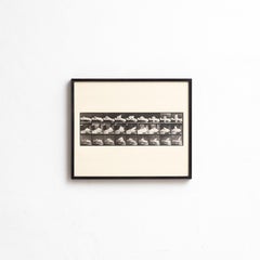 After Eadweard Muybridge Black And White Heliogravure Electa Editrice Portfolio