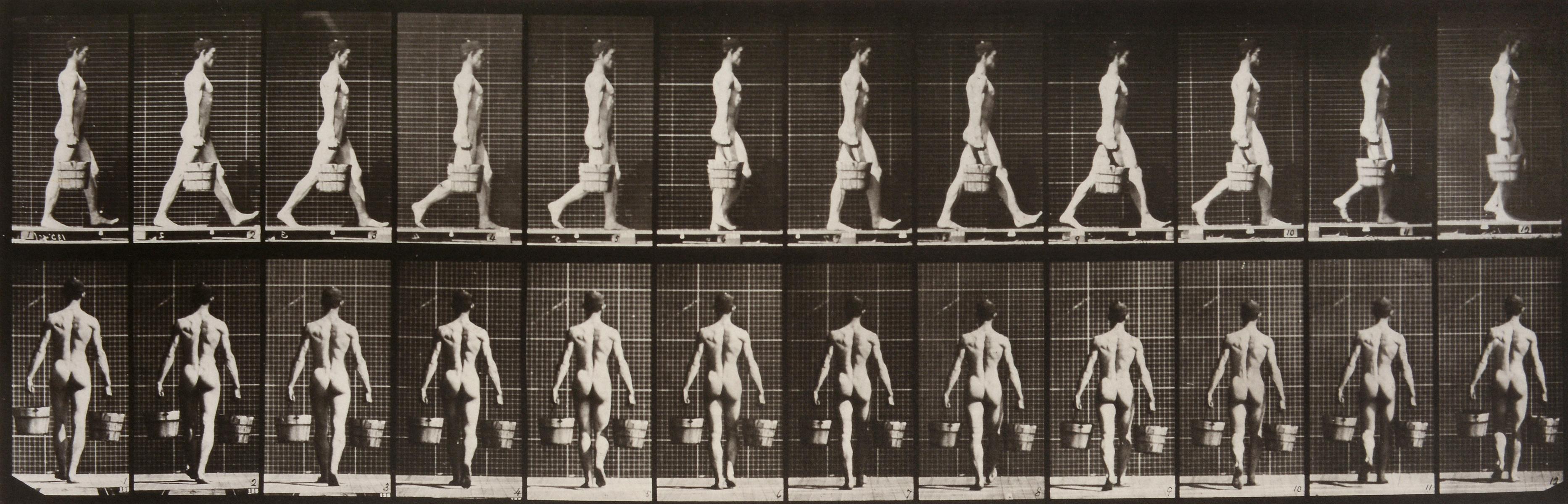 Eadweard Muybridge Black and White Photograph - Animal Locomotion: Palte 29 (Nude Man Carrying Two Pails), 1887 - Muybridge