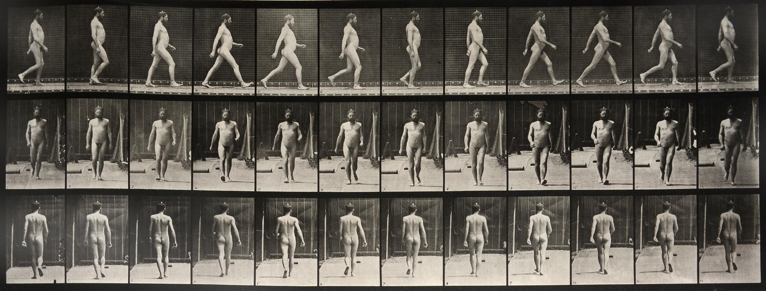 Animal Locomotion: Plate 11 (Nude Man Striding), 1887 - Eadweard Muybridge