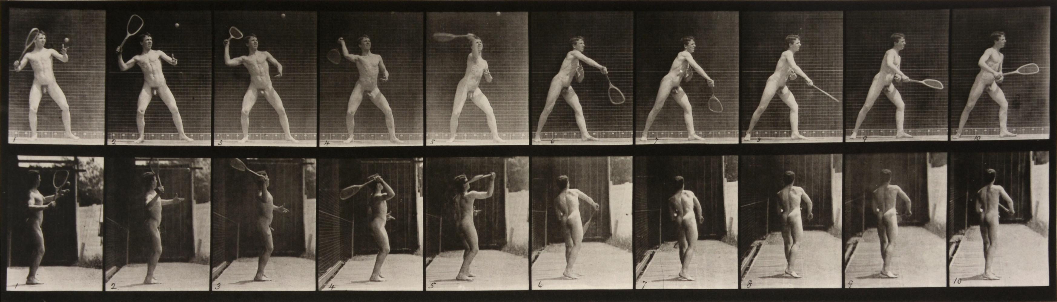 Animal Locomotion: Plate 294 (Man Playing Tennis), 1887 - Eadweard Muybridge
Inscribed with Muybridge's Letterpress credit, series title, plate number and date.
Stamped with Museum of Edinburgh's 'Science and Art' stamp on reverse
Collotype