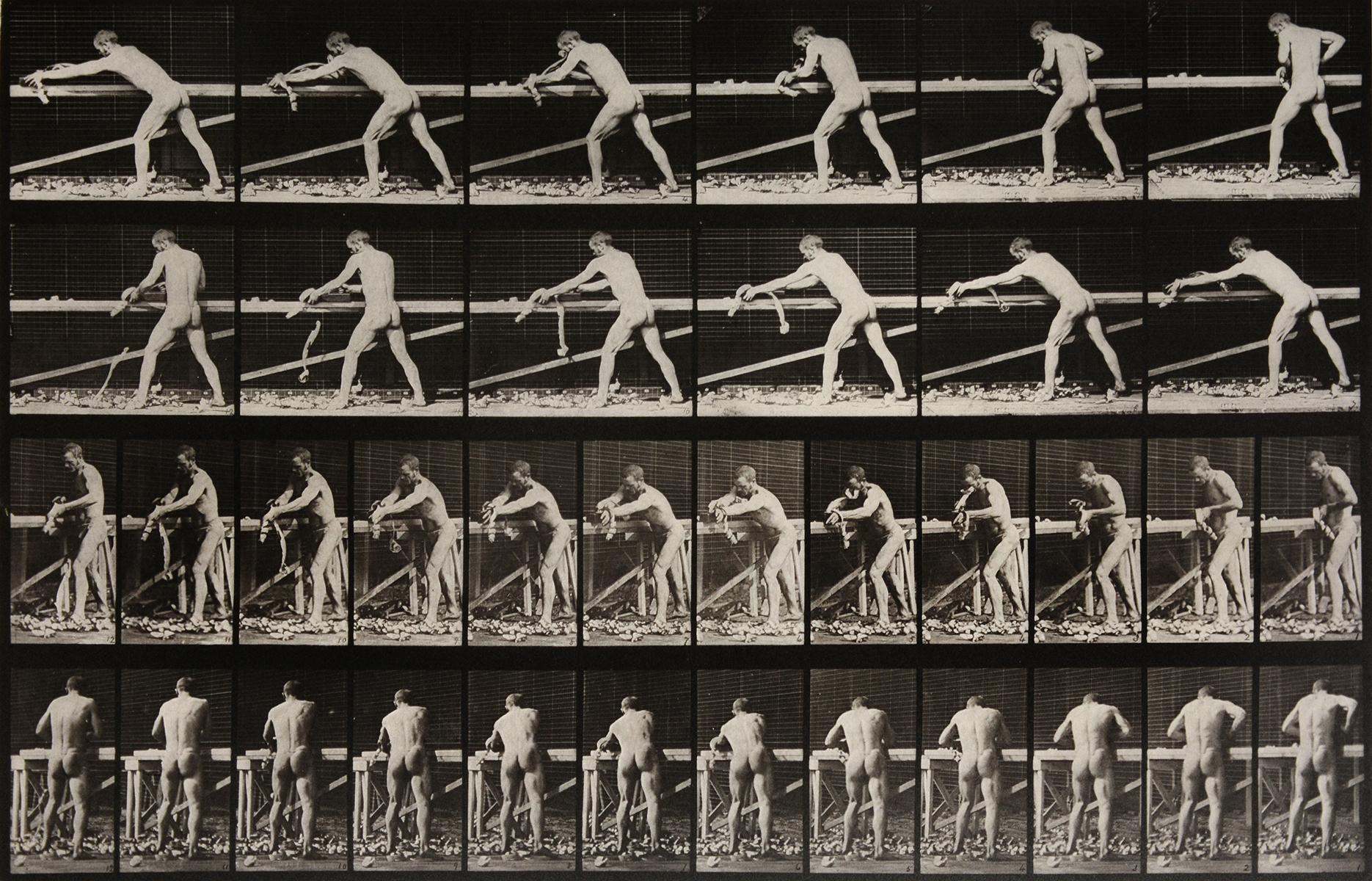 Animal Locomotion: Plate 370 (Nude Man Planing Wood), 1887 - Eadweard Muybridge