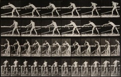 muybridge nude Animal Locomotion: Plate 370 (Nude Man Planing Wood), 1887 - Eadweard Muybridge