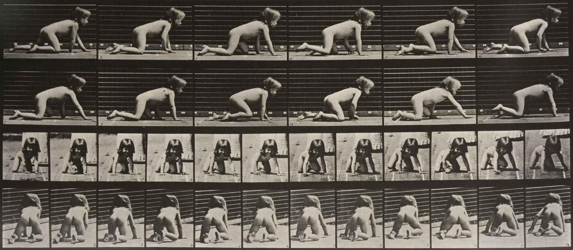 Eadweard Muybridge Black and White Photograph – Tier-Locomotion: Teller 471 (Kinder Crawling)
