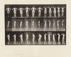 Animal Locomotion, Plate 531, Nude Collotype by Eadward Muybridge, 1887