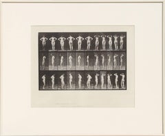 "Animal Locomotion, Plate 531", Collotype by Eadward Muybridge, 1887