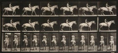 Animal Locomotion: Plate 582 (Nude Man Riding Horse), 1887 - Eadweard Muybridge