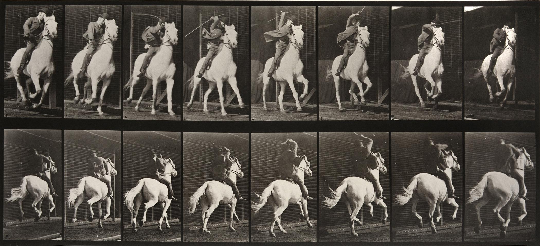 Eadweard Muybridge Black and White Photograph - Animal Locomotion: Plate 634 (Man Riding Galloping Horse), 1887 - Muybridge