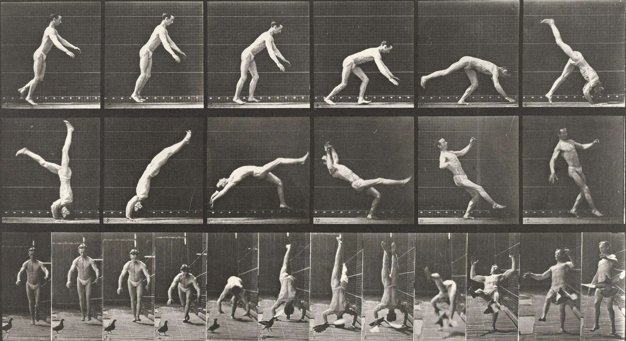 Eadweard Muybridge Black and White Photograph - Human and Animal Locomotion. Plate 365.