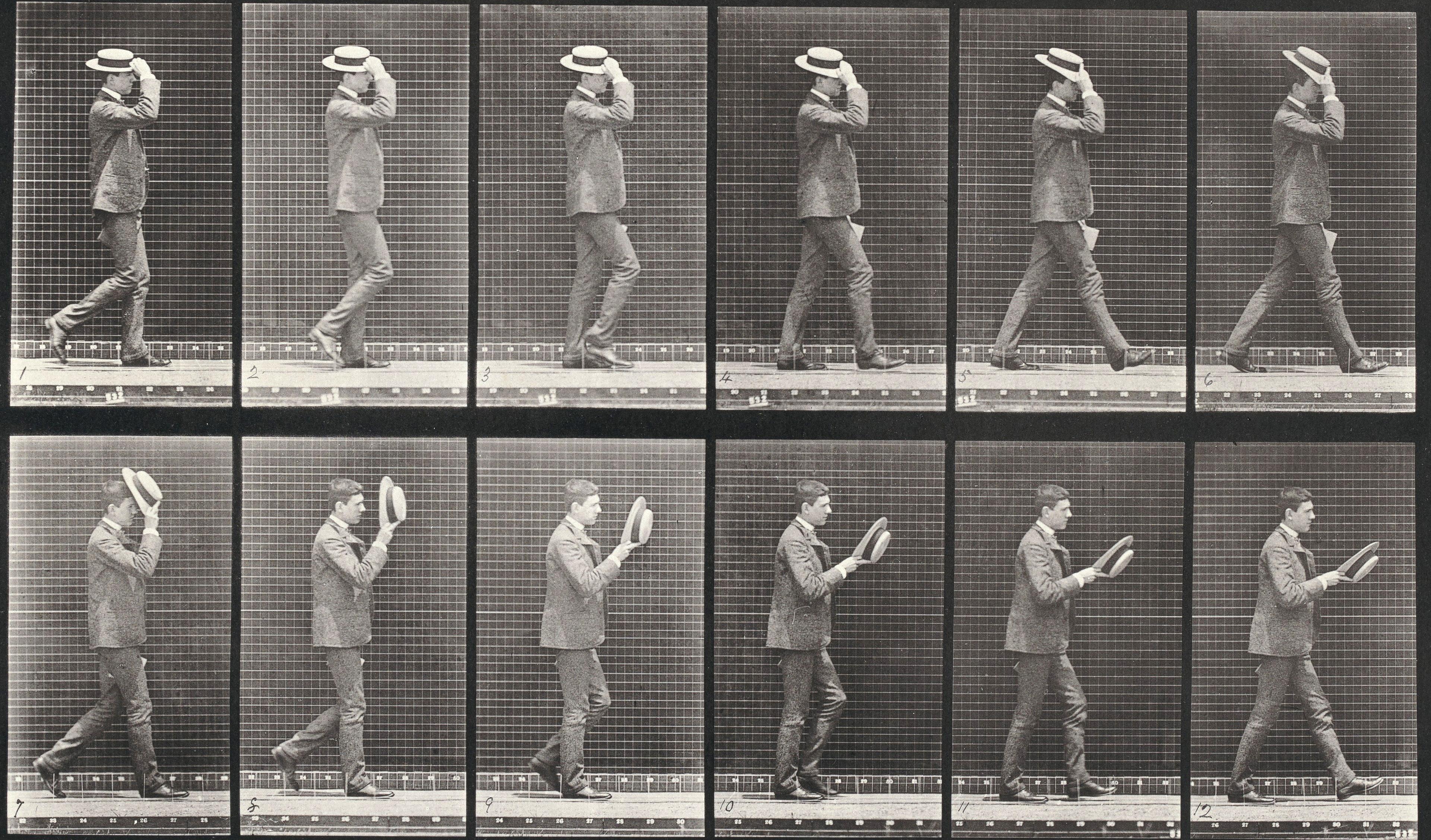 Eadweard Muybridge Human And Animal Locomotion Plate 44 For Sale At Eadweard Muybridge Human And Animal Locomotion Plate 44 For Sale At