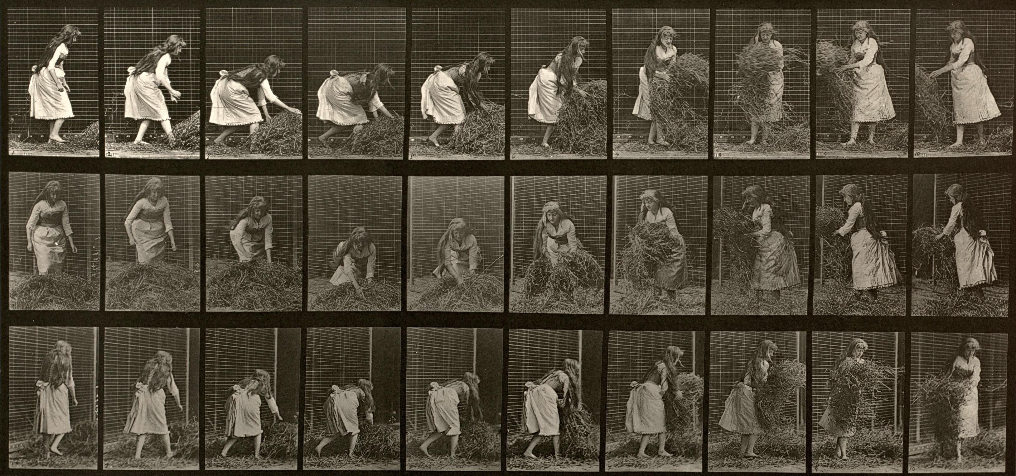 Locomozione umana e animale. Piastra 458.