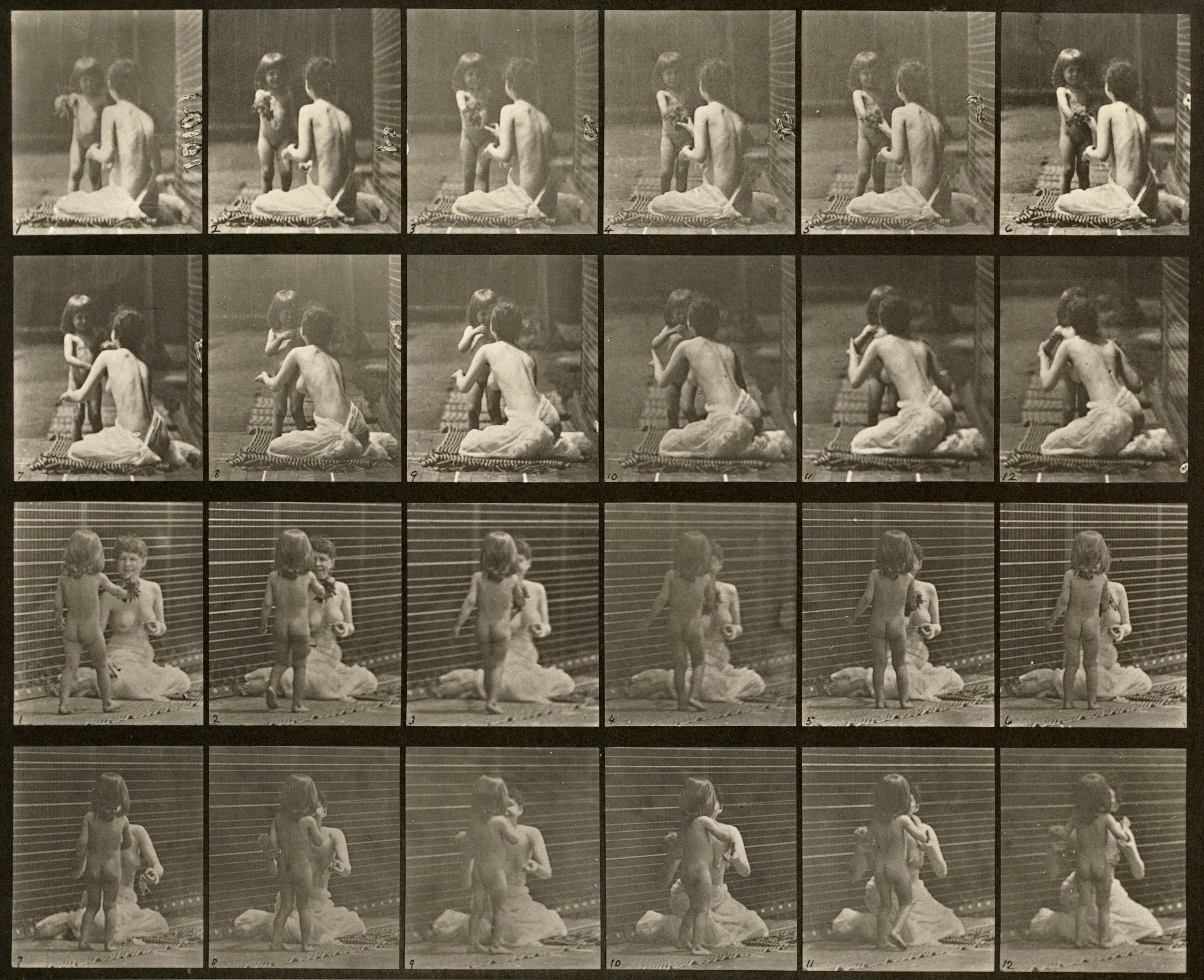 Locomozione umana e animale. Piastra 466.