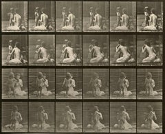 Human and Animal Locomotion. Plate 466.