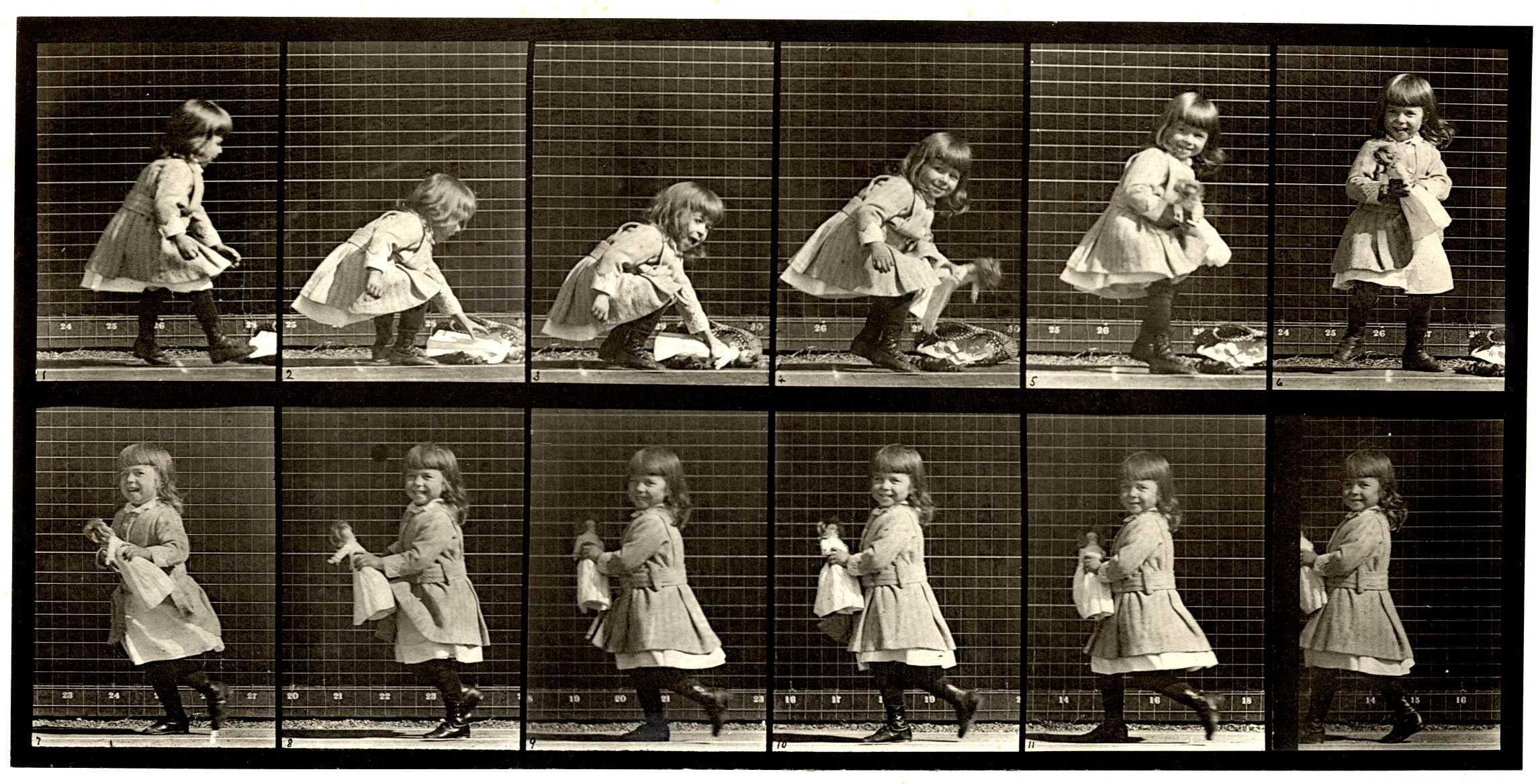 Eadweard Muybridge Human And Animal Locomotion Plate 481 For Sale 