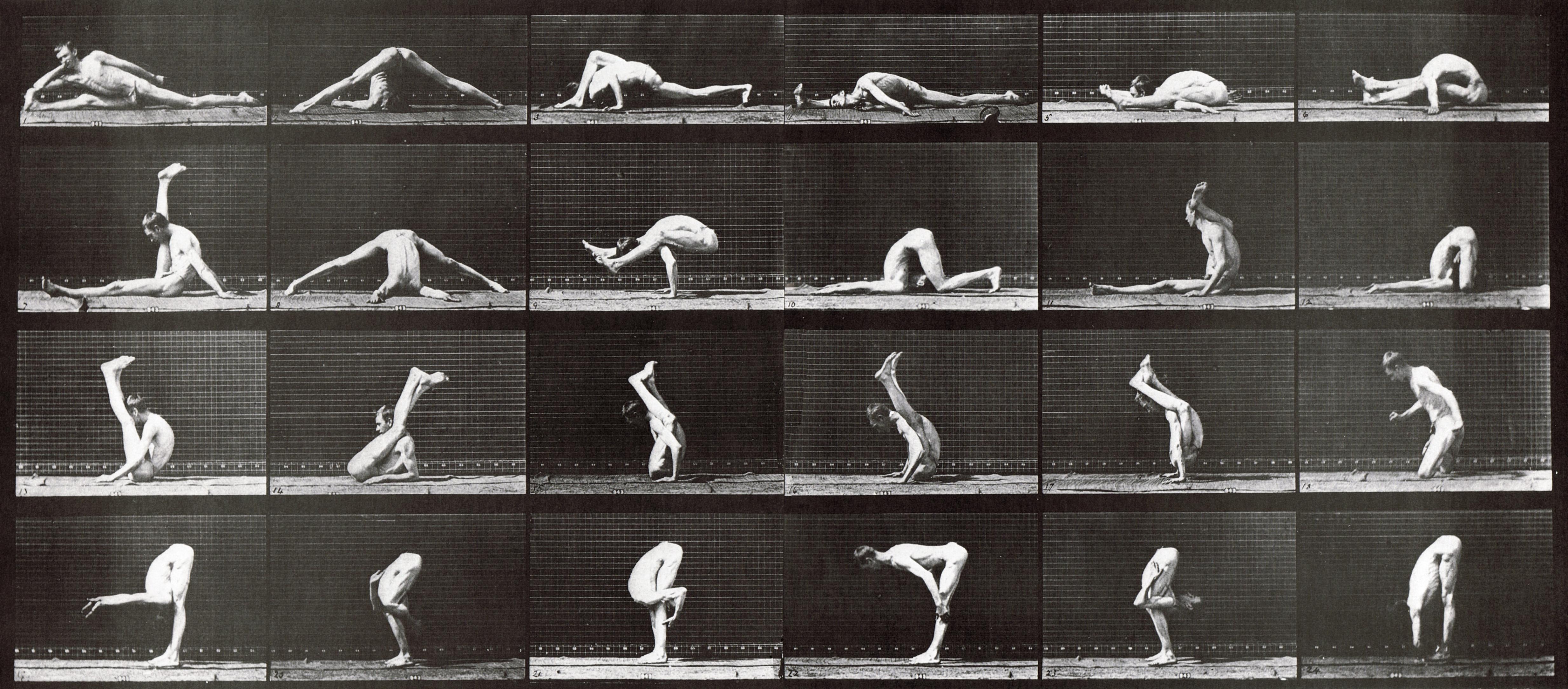 Eadweard Muybridge Black and White Photograph - Human and Animal Locomotion. Plate 510.